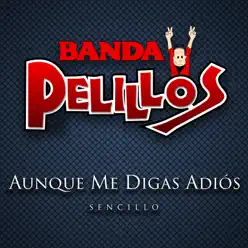Aunque Me Digas Adiós - Single - Banda Pelillos