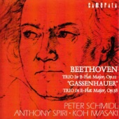 Beethoven: Piano Trios Op. 11 &  Op. 38 artwork