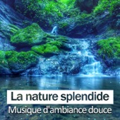 La nature splendide - Musique d'ambiance douce, Sons naturels, Guérir trouble de sommeil, Massage musique et yoga artwork