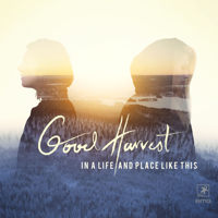 Good Harvest - In a Life and Place Like This artwork