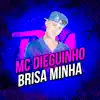 Brisa Minha - Single album lyrics, reviews, download