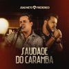 Saudade do Caramba - Single