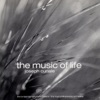 The Music of Life, 2001
