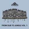 From Dub to Jungle, Vol. 1