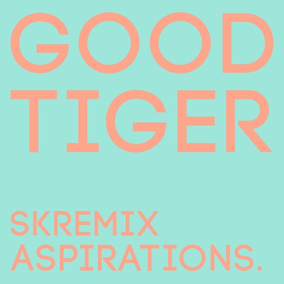 Cover artwork for Aspirations (Skremix)