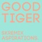 Aspirations (Skremix) - Good Tiger lyrics