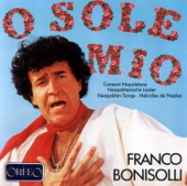 O sole mio (Arr. E. Monti for Voice, Mandolin Ensemble & Orchestra) artwork