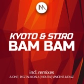 Bam Bam (Viduta Remix) artwork