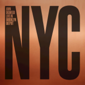 Live in Brooklyn New York - John Digweed