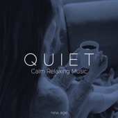 Quiet - Calm Relaxing Music artwork