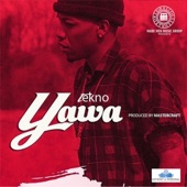 Tekno - Yawa