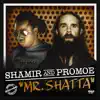 Mr. Shatta - Single album lyrics, reviews, download