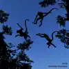Monkey Business - Single album lyrics, reviews, download