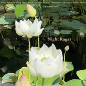 Night Ragas artwork