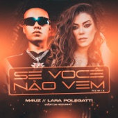 Se Você Não Vem (Remix) artwork