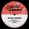 Hands Up / The Trumpet King (Mixes) - EP