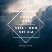 Komm und still den Sturm artwork