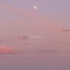 Laziness - Single