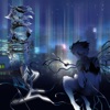 Lucdm - 北极星的眼泪
