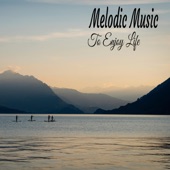 Melodic Music To Enjoy Life artwork