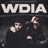 WDIA (Would Do It Again) artwork