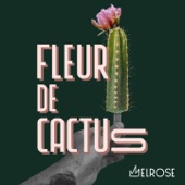 Fleur de cactus artwork