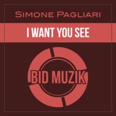 I Want You See (Extended Mix) artwork
