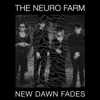 New Dawn Fades - Single