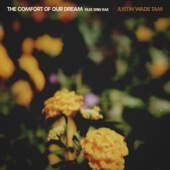 Justin Wade Tam - The Comfort of Our Dream