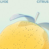 Citrus artwork