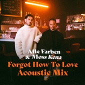 Forgot How to Love (Acoustic Mix) artwork