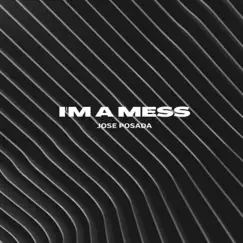 I'm a Mess (Radio Edit) Song Lyrics