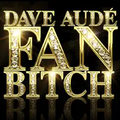 Fan Bitch - Single by Dave Audé album reviews, ratings, credits