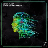 Soul Connection artwork