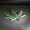 Kannabis (feat. Chronixx, Eesah, Micah Shemaiah & Infinite) [Remastered] [Remastered] - Single album lyrics, reviews, download