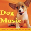 Dog Music: Sounds for Pet Relaxation and Dog Anxiety