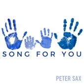 Song for You (Radio Edit) artwork
