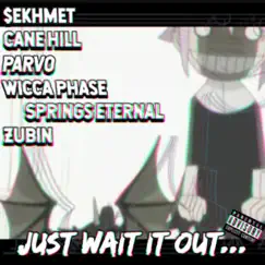 Just Wait It Out... (feat. Cane Hill, Wicca Phase Springs Eternal, Parv0 & Zubin) - Single by $ekHmeT album reviews, ratings, credits