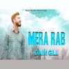 Mera Rab - Single