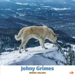 Where I Belong - Single by Johny Grimes album reviews, ratings, credits