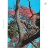 Pink Cloud - NEWS (2001 Remaster)