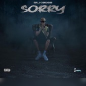 Sorry (Radio Edit) artwork