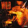 Wild - Single album lyrics, reviews, download