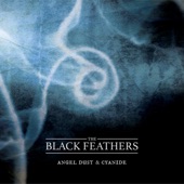 The Black Feathers - Hurricane