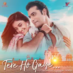 Tere Ho Gaye (Duet) - Single by Yasser Desai & Dipanshi Tripathi album reviews, ratings, credits