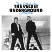 The Velvet Underground - All Tomorrow's Parties