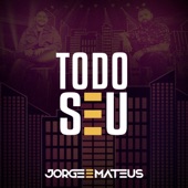 Todo Seu (Ao Vivo) artwork