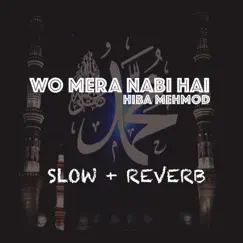 Wo Mera Nabi Hai - Single by Hiba Mehmood album reviews, ratings, credits