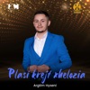 I plasi krejt xhelozia - Single