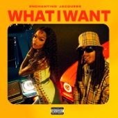 What I Want (feat. Jacquees) artwork
